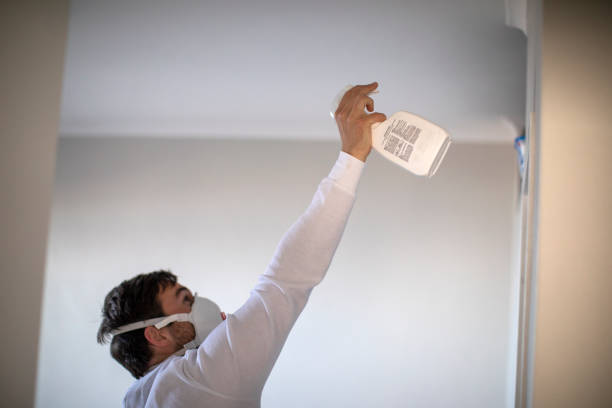 Best Mold Removal Company Near Me  in Bel Air South, MD