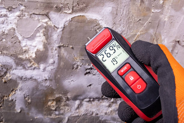 Office Mold Removal Services in Bel Air South, MD