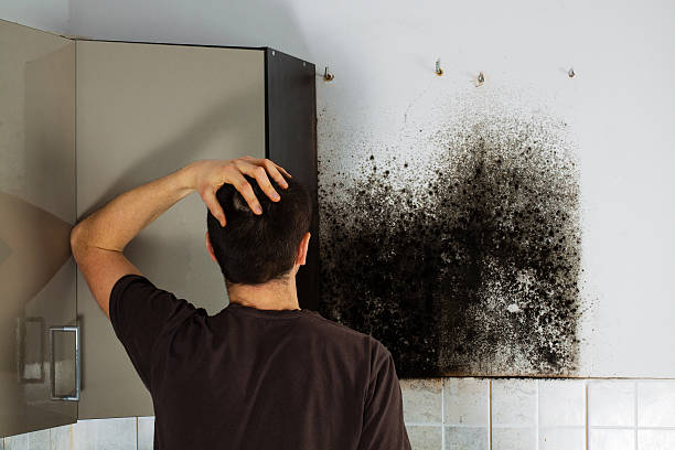 Best Commercial Mold Removal  in Bel Air South, MD